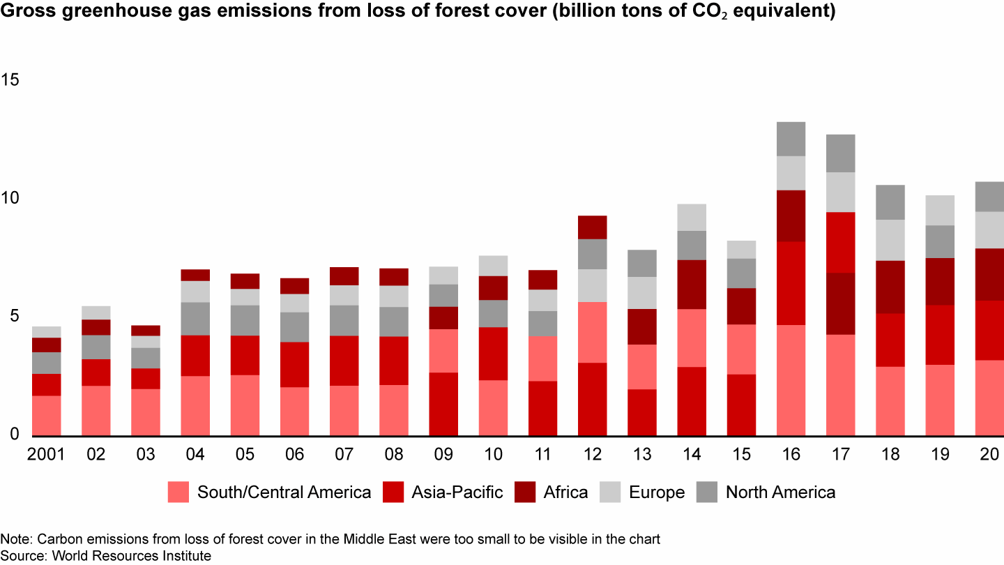 Carbon emissions from the loss of forest cover remain near an all-time high